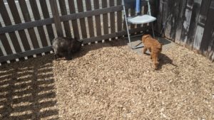 昼のお時間　2020/9/2