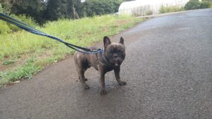 長いな(笑)　2020/9/3