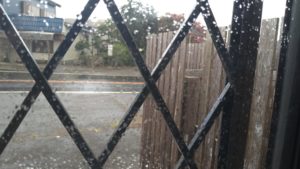 スースー　2020/9/3