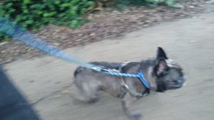 ゆるりと　2020/9/3