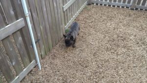 昼過ぎのお時間　2020/9/4