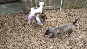 昼のお時間　2020/10/4