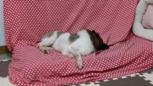 ごゆるり　2020/10/8