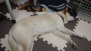 おやとぅ〜　2020/10/9