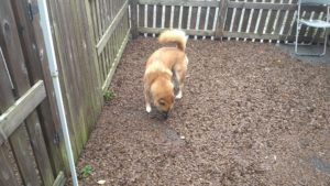 昼のお時間　2020/10/11