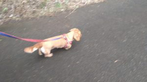 ドキドキバクバク　2020/10/12