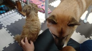 お昼のお時間　2020/10/13