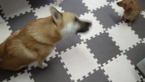 静かなお昼　2020/10/14