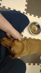 でろ〜んと　2020/10/15