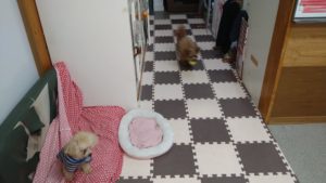 昼のお時間　2020/10/17