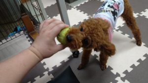 お昼のお時間　2020/10/19