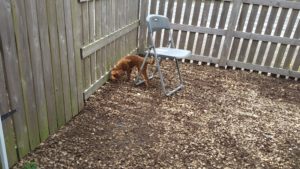 昼のお時間　2020/10/20