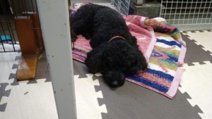 昼のお時間　2020/10/22