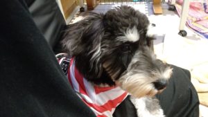 昼のお時間　2020/10/24