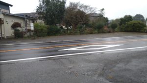 フリースペースのペットホテルセカンドファミリー／朝のお時間　2020年11月3日