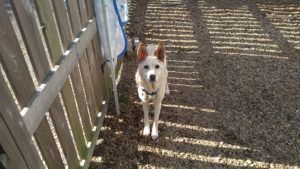 お昼のお時間　2020/11/13