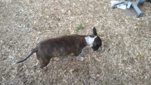 昼のお時間　2020/11/18