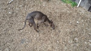 昼のお時間　2020/11/19