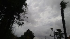 成田市近郊のペットホテルセカンドファミリー／朝のお時間　2020年11月20日