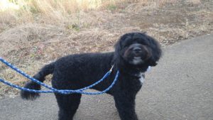 おおおぉ　2020/11/22