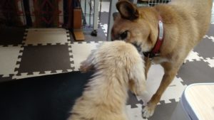 昼のお時間　2020/11/22