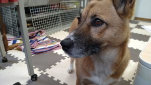 昼のお時間　2020/11/23