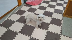 昼のお時間　2020/11/24