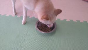 午前中のお時間　2021/2/27