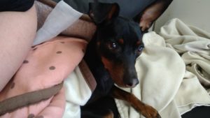 昼のお時間　2021/3/5