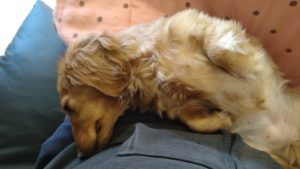 でろん　2021/3/11