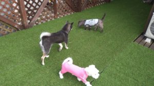 昼のお時間　2021/4/1