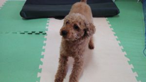 昼のお時間　2021/4/2