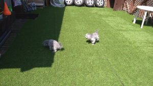 昼のお時間　2021/4/18