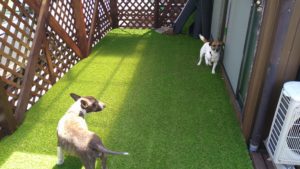 昼のお時間　2021/4/22