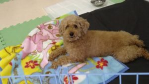 昼のお時間　2021/5/1