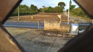 富里市のペットホテルセカンドファミリー／夜のお時間　2021年5月1日