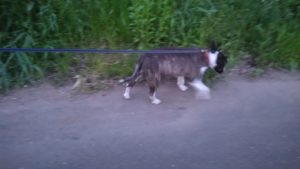 酒々井近郊のペットホテルセカンドファミリー／夜のお時間　2021年5月4日