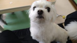 昼のお時間　2021/5/29