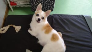 数秒前　2021/5/30