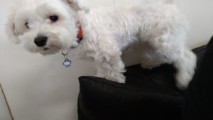 昼のお時間　2021/6/23