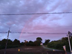 成田市近郊のペットホテルセカンドファミリー／夜のお時間　2021年7月11日