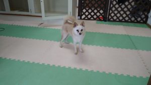 昼のお時間　2021/8/6