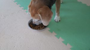 昼のお時間　2021/8/7