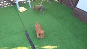 夜のお時間 2022/2/5