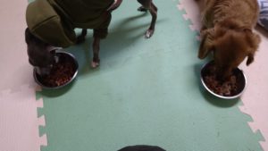 夜のお時間　2022/2/6