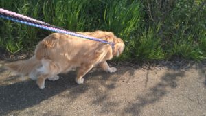 夜のお時間　2022/4/30