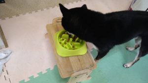 おおおぉお！　2022/6/18