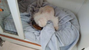 朝のお時間　2022/6/28