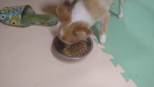 朝のお時間　2022/6/29