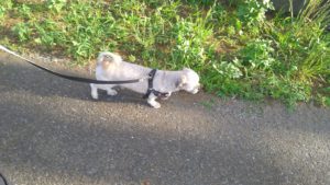 夜のお時間　2022/7/7